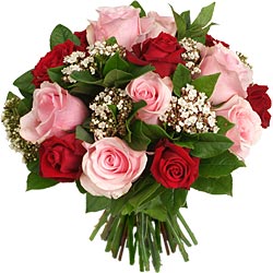 16 Rosas para Regalar