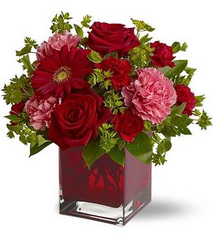 Regalar Flores