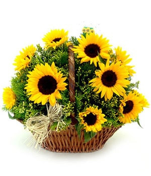 Canasta de Girasoles