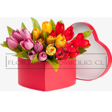 30 Tulipanes en Caja Corazn