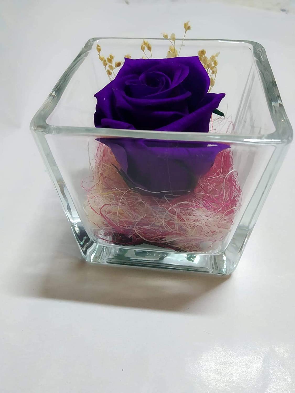 Rosa Morada Preservada en Cubo