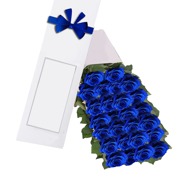 Caja de 24 Rosas Azul -Regalosadomicilios.cl