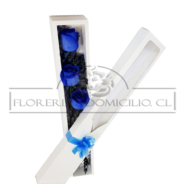 Caja con 03 Rosas Azules