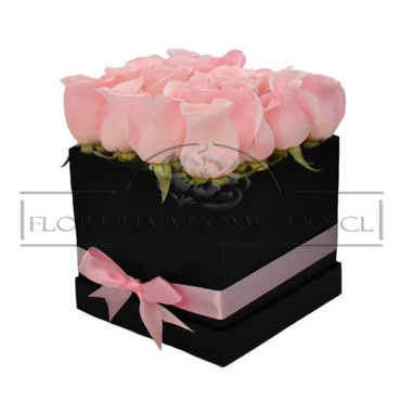 Caja Rectangular con 09 Rosas