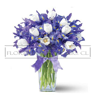 Florero de Iris y 20 Tulipanes Blancos