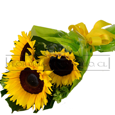  Ramito con 03 Girasoles