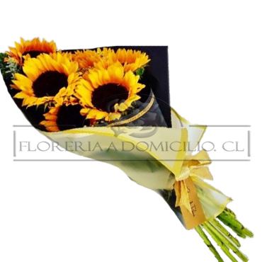 Ramo de 05 Girasoles