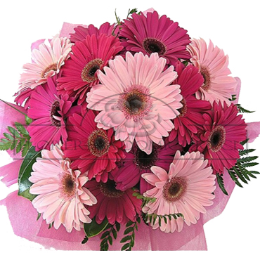 Ramo de 20 Gerberas