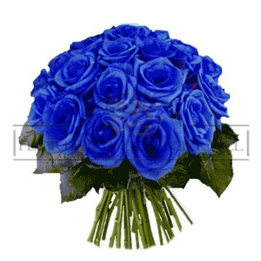 Bouquet en 30 Rosas Azules